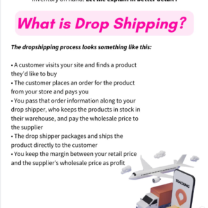 Dropshipping Business eBook | PLR & MRR