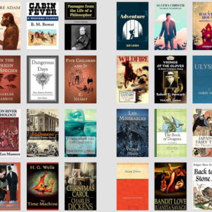 1000 Classic Novels Digital Bundle | PLR & MRR